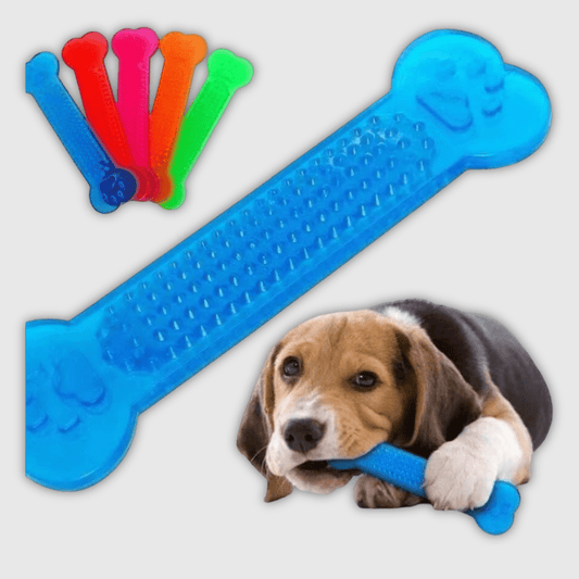 עצם גומי לעיסה לכלבים - PetPals